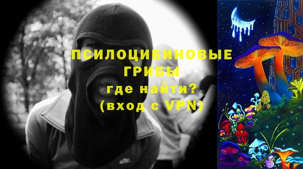 гидра Арсеньев