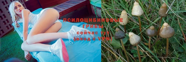 гидра Арсеньев