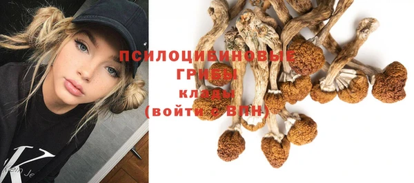 а пвп мука Аркадак