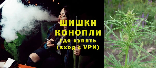 гидра Арсеньев