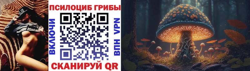 Галлюциногенные грибы прущие грибы  Купить  Дюртюли 