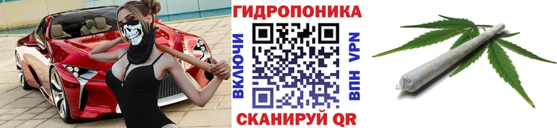 Купить где  Дюртюли  МАРИХУАНА планчик 